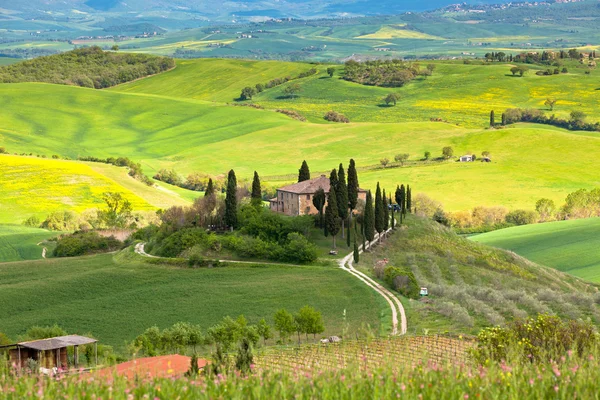 Boerderij in Toscane — Stockfoto