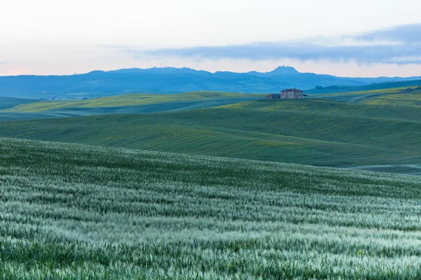 Toscana al amanecer — Foto de Stock