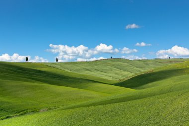 Tuscan val d'orcia arka plan