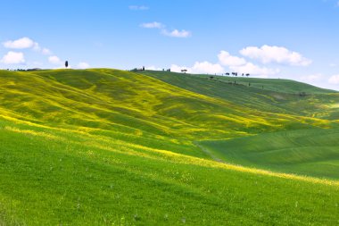 Tuscan val d'orcia arka plan