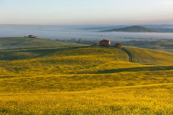 Tuscany at sunrise — Stock Photo, Image