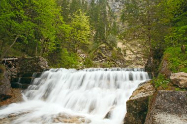 The waterfall in the canyon 