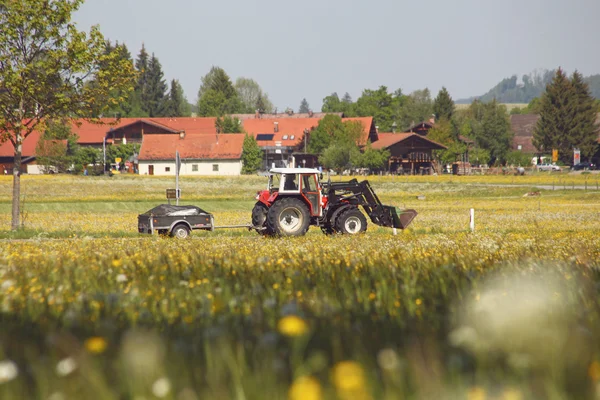 Трактор уздовж красивого розпушування квітучих яскраво-жовтих полів каналів, концепція аграрного бізнесу — стокове фото
