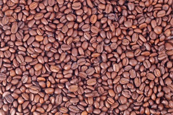 Geroosterde koffie bean — Stockfoto