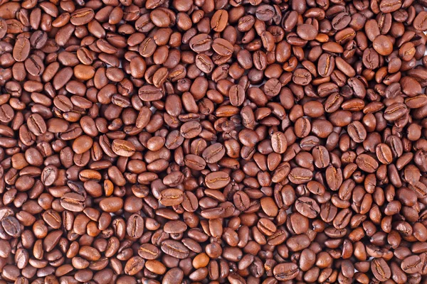 Roasted coffee bean — Stock Photo, Image