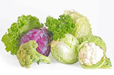 Collection cabbages isolated on a white background clipart