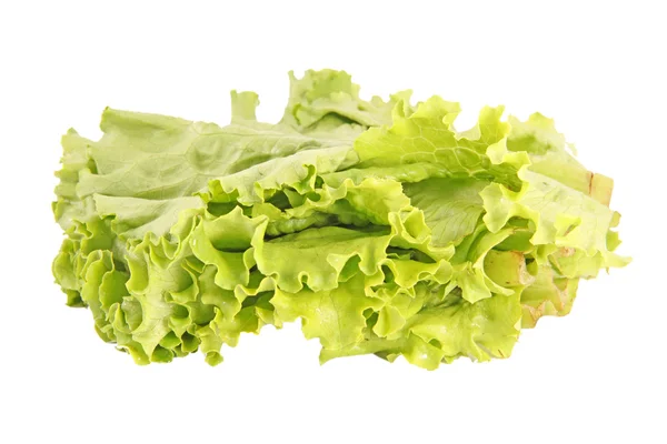 Свежий зеленый салат изолирован на белый — стоковое фото