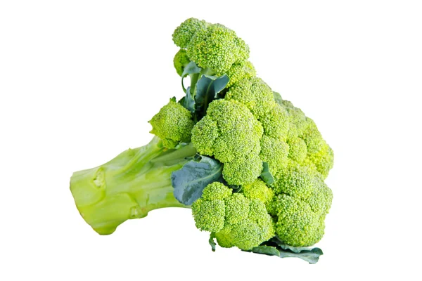 Brokolice na bílém pozadí. — Stock fotografie