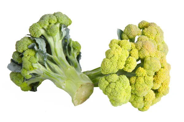 Brócoli sobre fondo blanco. —  Fotos de Stock