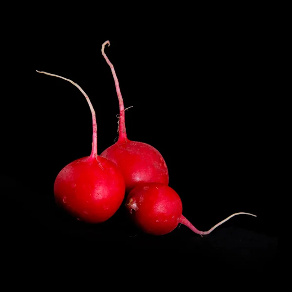 Stock image Garden radish on black, fresh tasty food concept