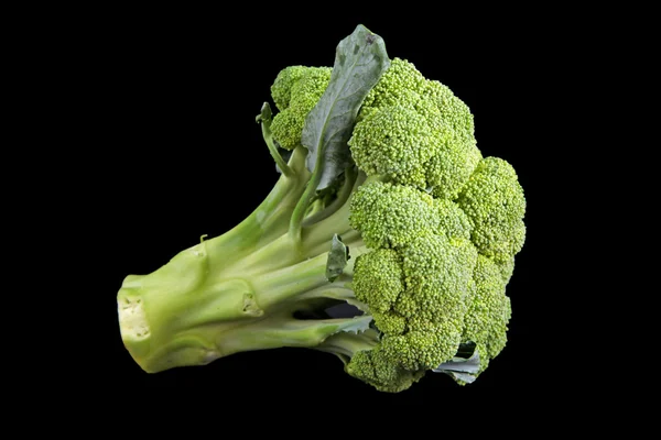 Izole üzerinde siyah taze brokoli üzerine siyah izole olgun olgun taze brokoli — Stok fotoğraf