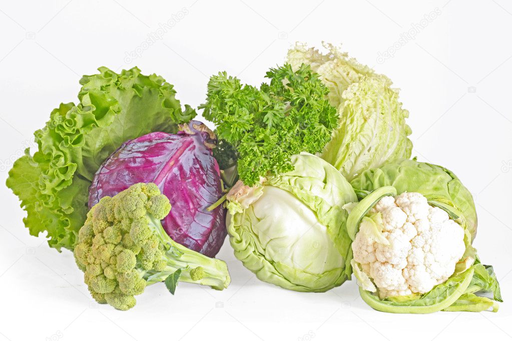 Collection cabbages isolated on a white background