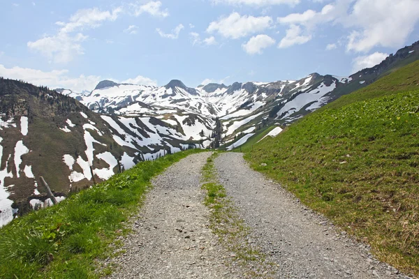 Chemin de randonnée dans les Alpes suisses. Suisse — Photo