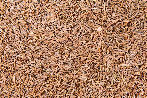 Kmín semena textura, celoobvodové pozadí. — Stock fotografie