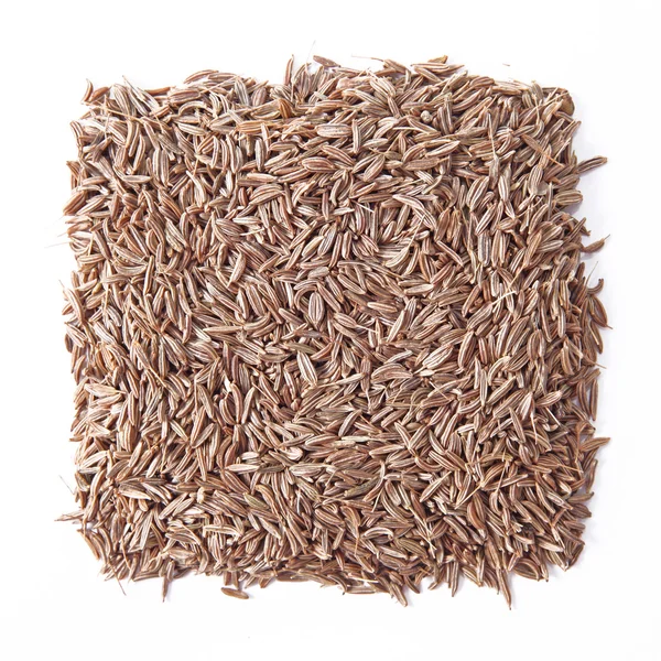 stock image Cumin seeds square isolated on white background