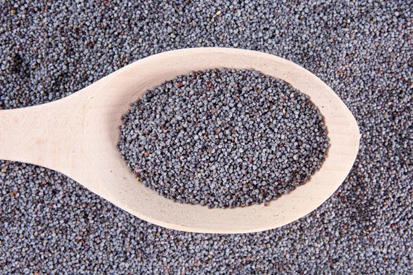 Poppy seeds with the wooden spoon background — Stock Photo, Image