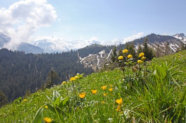 güzel manzara swiss Alps sans, İsviçre