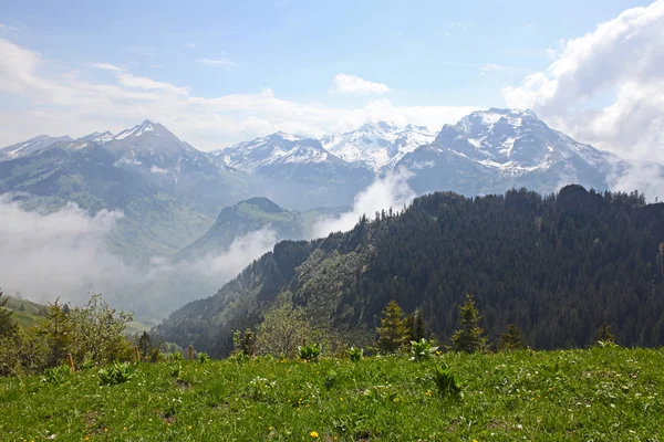 Красивий краєвид на швейцарські Альпи поблизу Sans, Швейцарія — стокове фото