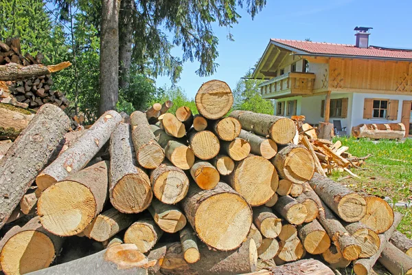 Вырубленное дерево возле дома — стоковое фото