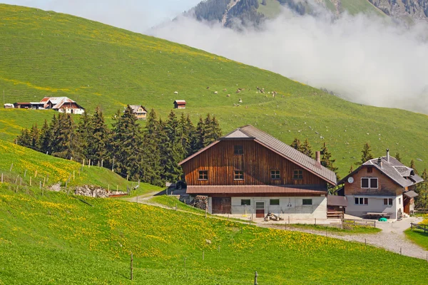 スイスのアルプス、スイス連邦共和国、euripe 山村 ロイヤリティフリーのストック画像