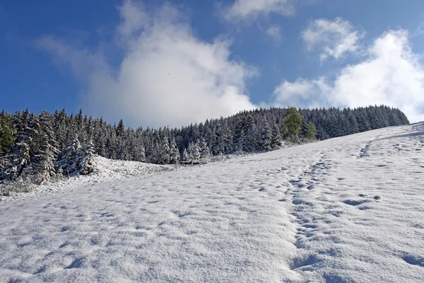 Paesaggio delle Alpi nella neve scattata in primavera, Baviera — Foto Stock