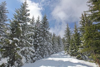 Bahar, Bavyera çekilen kar Alpler'de peyzaj