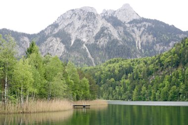 Lake taken in Bavaria. Germany clipart