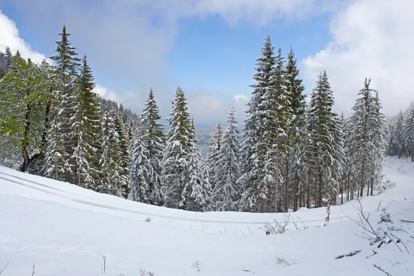 Paysage des Alpes dans la neige prise au printemps, Bavière — Photo