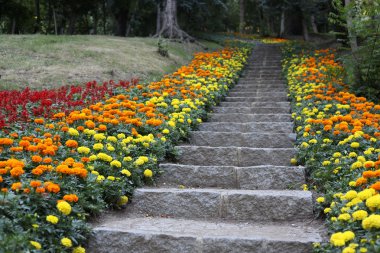 Natural stone landscaping in home garden with stairs and retaining walls clipart