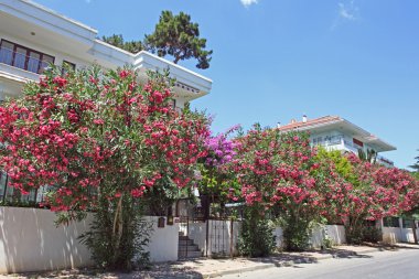 Prenses Adaları, istanbul, Türkiye