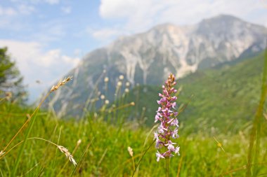 güzel dağ - manzara alınan julian alps, İtalya