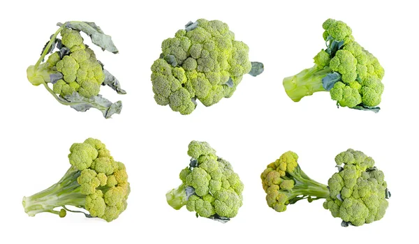 Conjunto de brócoli verde fresco aislado sobre fondo blanco — Foto de Stock