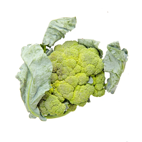 Frischer grüner Brokkoli isoliert auf weißem Hintergrund — Stockfoto