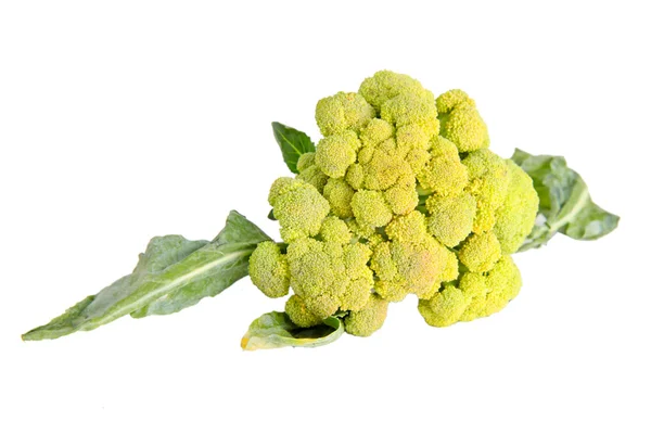 Brócoli verde fresco aislado sobre un fondo blanco —  Fotos de Stock
