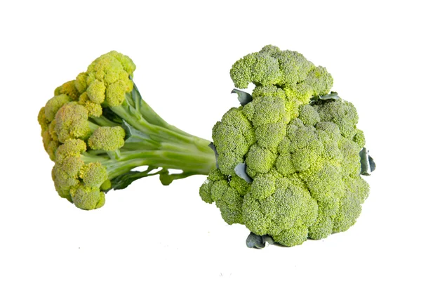 Beyaz bir arka plan üzerinde izole taze yeşil brokoli — Stok fotoğraf