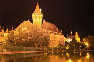 gece, güzel vajdahunyad castle, Macaristan Budapeşte