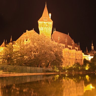 gece, güzel vajdahunyad castle, Macaristan Budapeşte