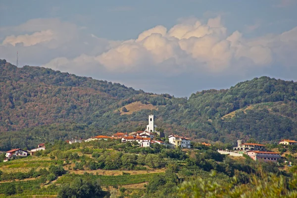 Casas entre as vinhas no verão.Esloveno Konjice, Eslovênia — Fotografia de Stock