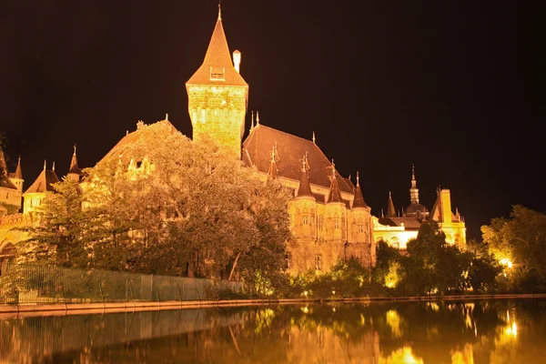 stock image Budapest by night, beautiful Vajdahunyad Castle , Hungary