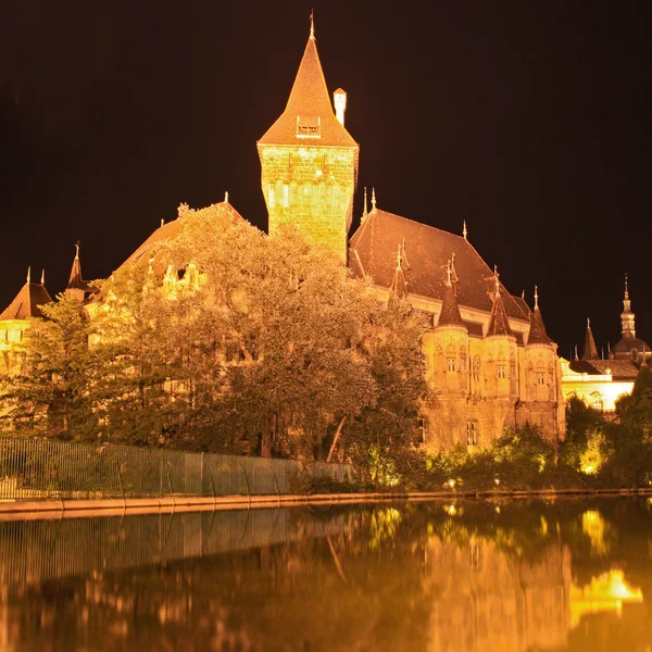 stock image Budapest by night, beautiful Vajdahunyad Castle , Hungary