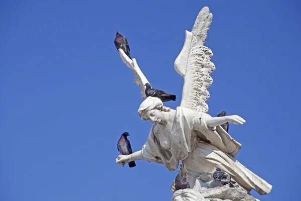 Trieste, Belediyesi şehir meydanında bir çeşme ile yakın anıt — Stok fotoğraf