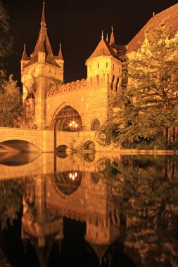 Budapeşte gece, vajdahunyad castle