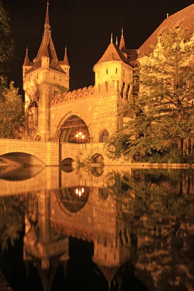 stock image Budapest by night , Vajdahunyad Castle