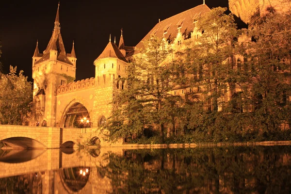 stock image Budapest by night , Vajdahunyad Castle