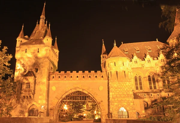 Budapeste à noite, Castelo de Vajdahunyad — Fotografia de Stock
