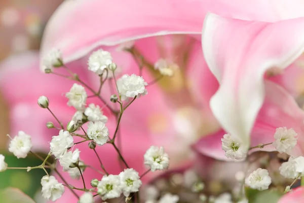 Розовые лилии на абстрактном фоне — стоковое фото