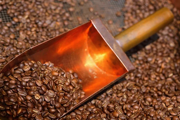 Copper spoon in coffee beans — Stock Photo, Image