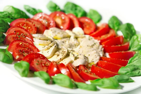 Mozzarella con albahaca y tomates — Foto de Stock