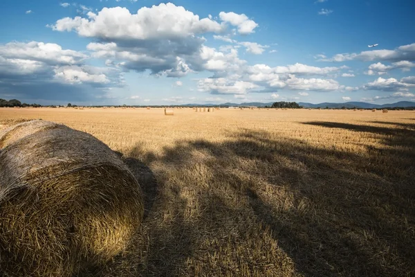 Lindo campo — Fotografia de Stock