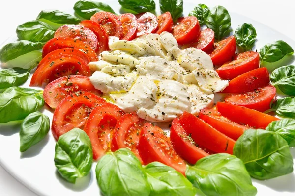 Mozzarella med basilika och tomater — Stockfoto
